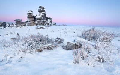 Happy New Year from Falcon Digital – Here’s to an Exciting 2026 Ahead